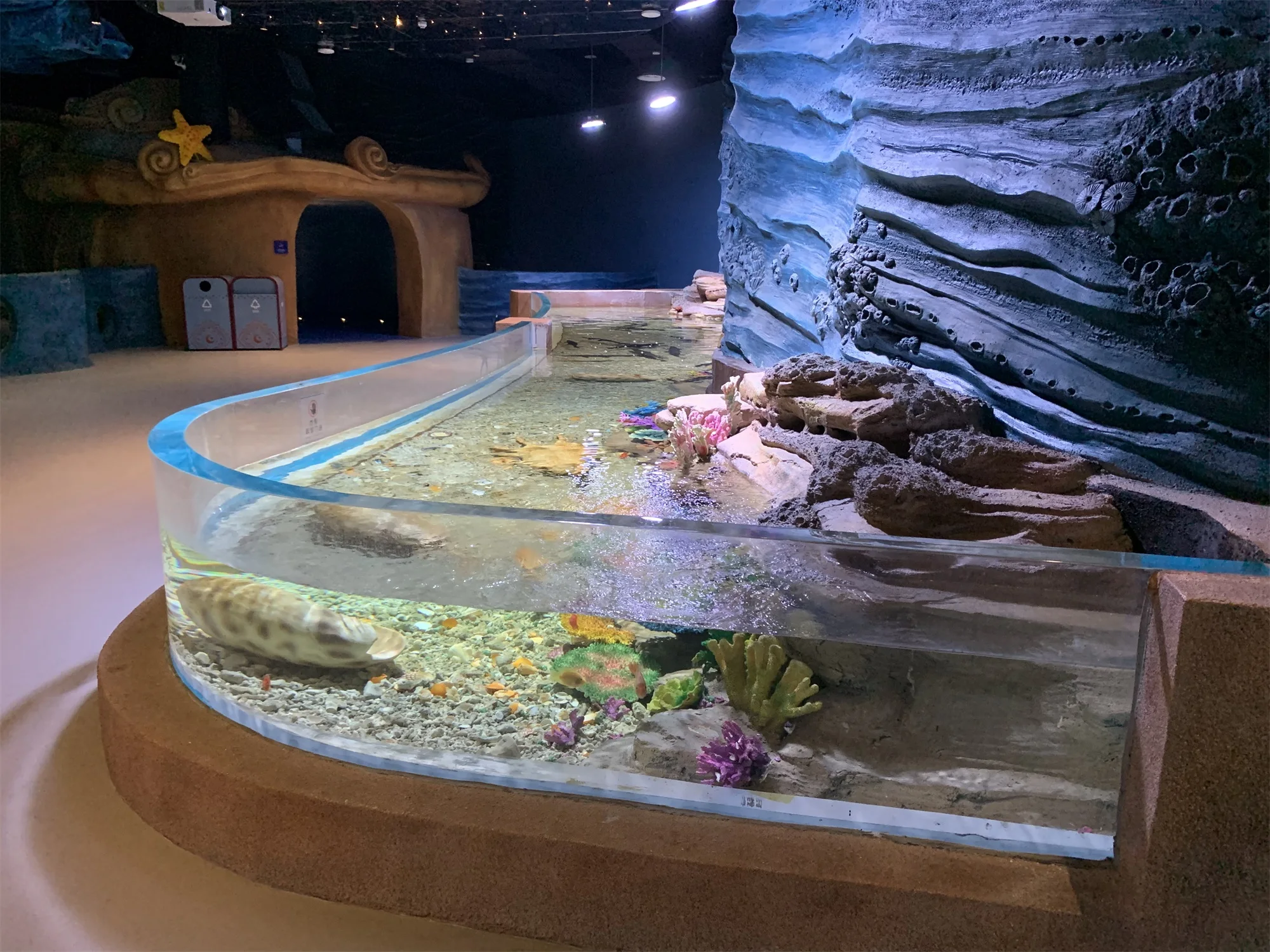 S shape acrylic aquarium panel price for aquarium project