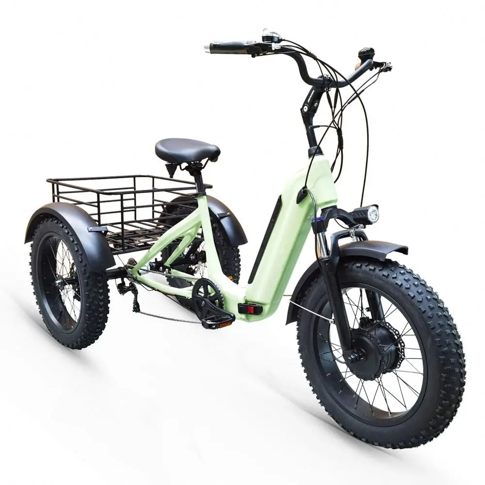 Modern Novel Design Factory Price Electric Tricycle Cargo