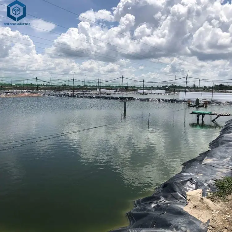 HDPE Geomembrane Aquaculture Farm Plastic Fish Pond