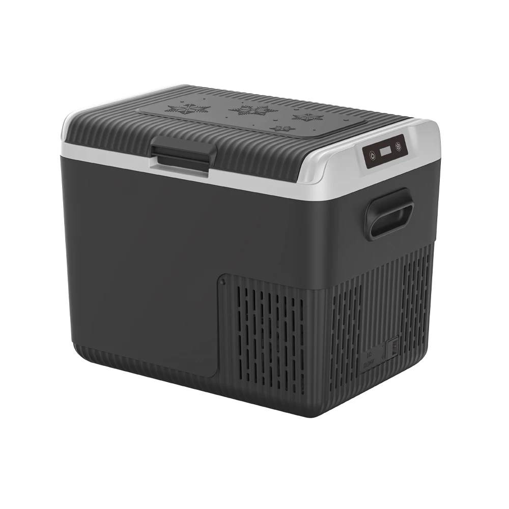 Outdoor Portable Car Refrigerator And Mini Fridge 220V 12v And Camping Electric Cooler Box Car Refrigerator Mini Fridge