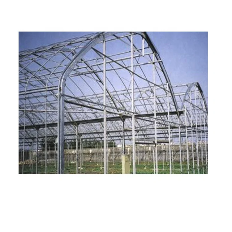 Factory direct sale greenhouse for agriculture used in  farm vegetables fruits PE film single span projects