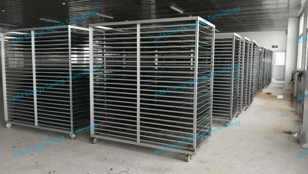 Dehydrate Grape Dehydrating Machine Big Maquina Dehydrator Semi Industrial Fruits Dryer Mango Heat Pump Deshidratador Alimentos