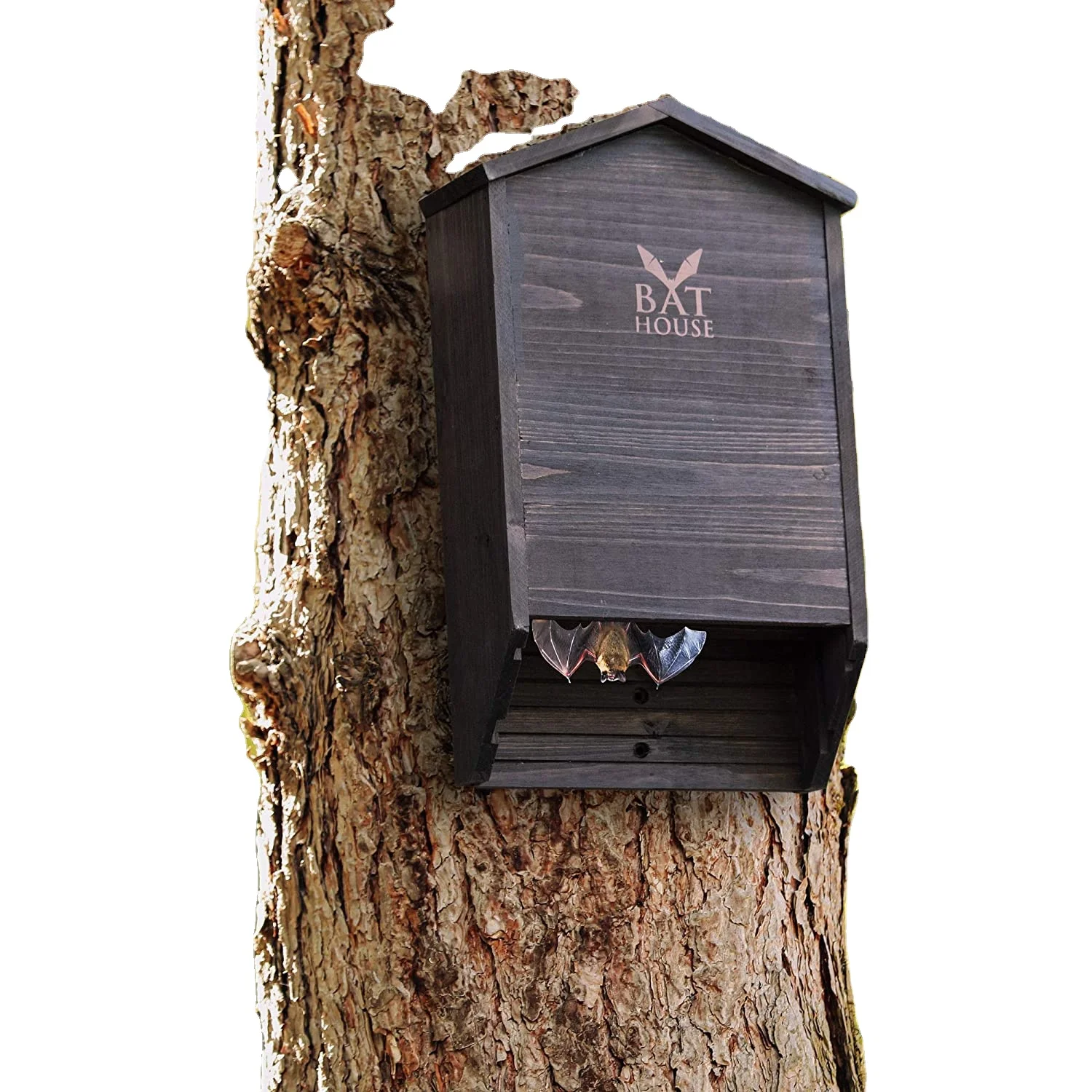 2024 Профессиональный деревянный дом летучей мыши на открытом воздухе