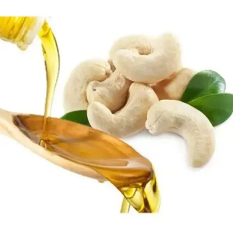 Good Price Organic Cashew Nut Oil /Anacardium Occidentale /Cashew Kernel Oil For Sale