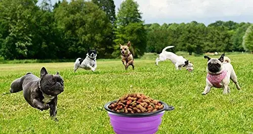 Легкая силиконовая складная миска для корма собак, без бисфенола А, миска для кормления домашних животных
