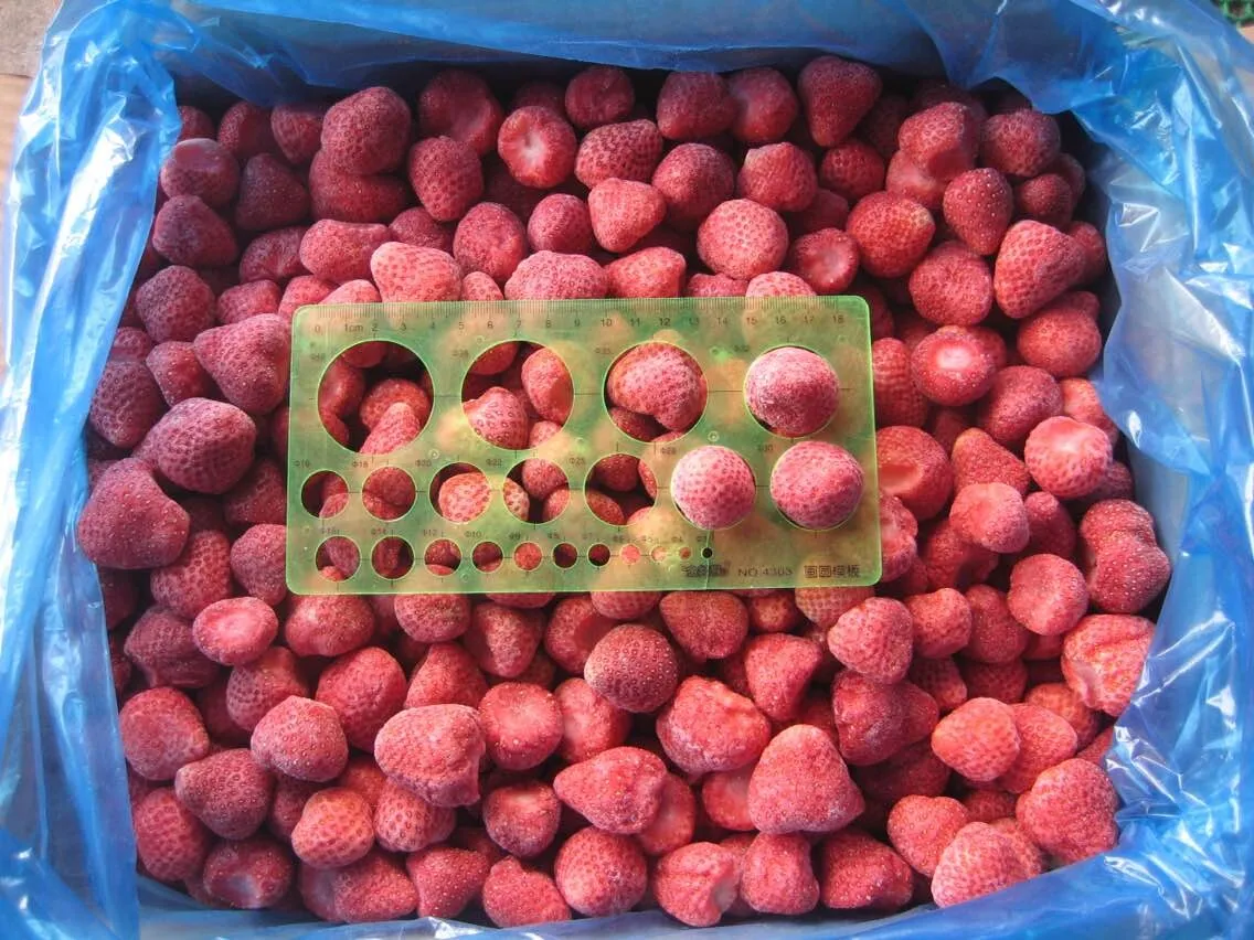 New Crop Honey Sweet Charlie American 13 Frozen Strawberry Whole
