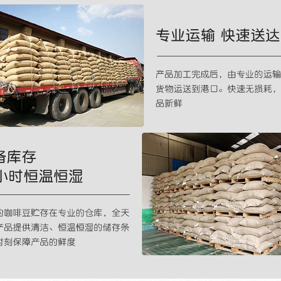 Chinese yunnan arabica washed green coffee beans,simao grade 1