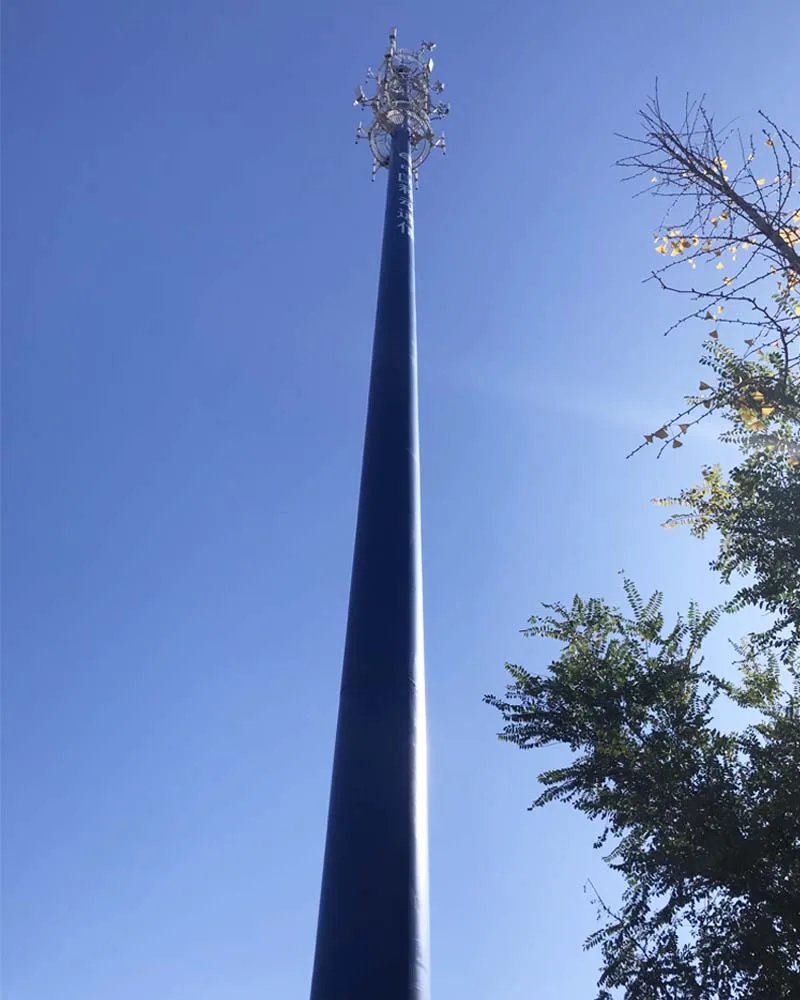 15M 20M 25M Hot Dip Galvanized Mobile Internet Radio Signal Mutual Communication Monopole Tower