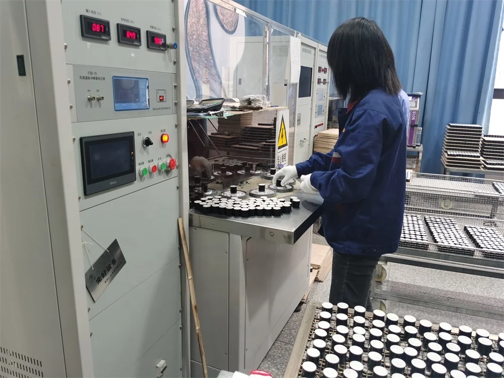 SPR Stainless Steel 316 Material Back Mounting 0-1.0 Bar 63mm Sf6 Gas Manometer For Circuit Breaker