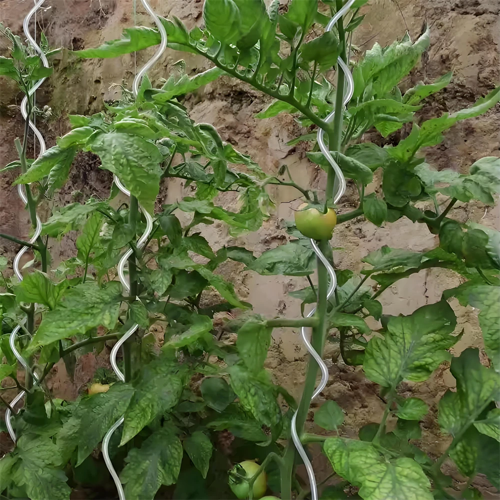 Spiral-Shaped Support Rod for Tomatoes and Climbing Plants Garden Plant Tomato Cage and Decoration tomato spiral rod