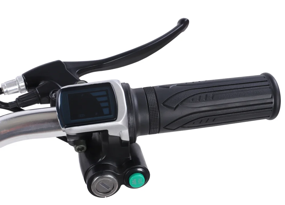 Hot Cargo Urban E-bike E-bicycle Disc Brake 48V 20AH Lithium Battery 26 Inch Electric City Bike