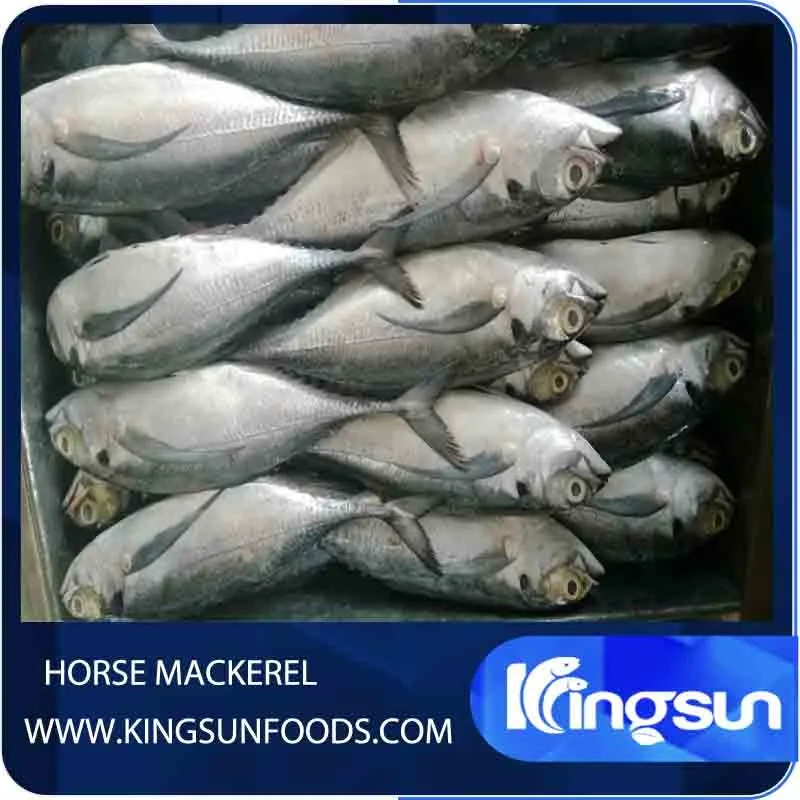 Frozen Horse Mackerel Trachurus Japonicus Whole Dried Fish with round Fat Water Preserved Packaged in Bulk Bag