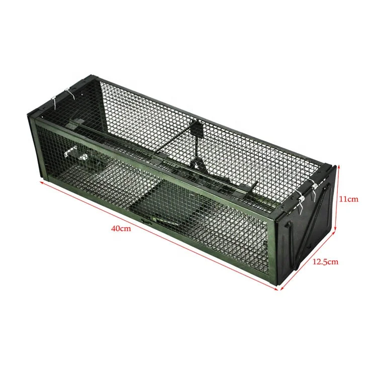 Professional Double Door Mouse Rat Cage Trap Small Animal Trap Cage