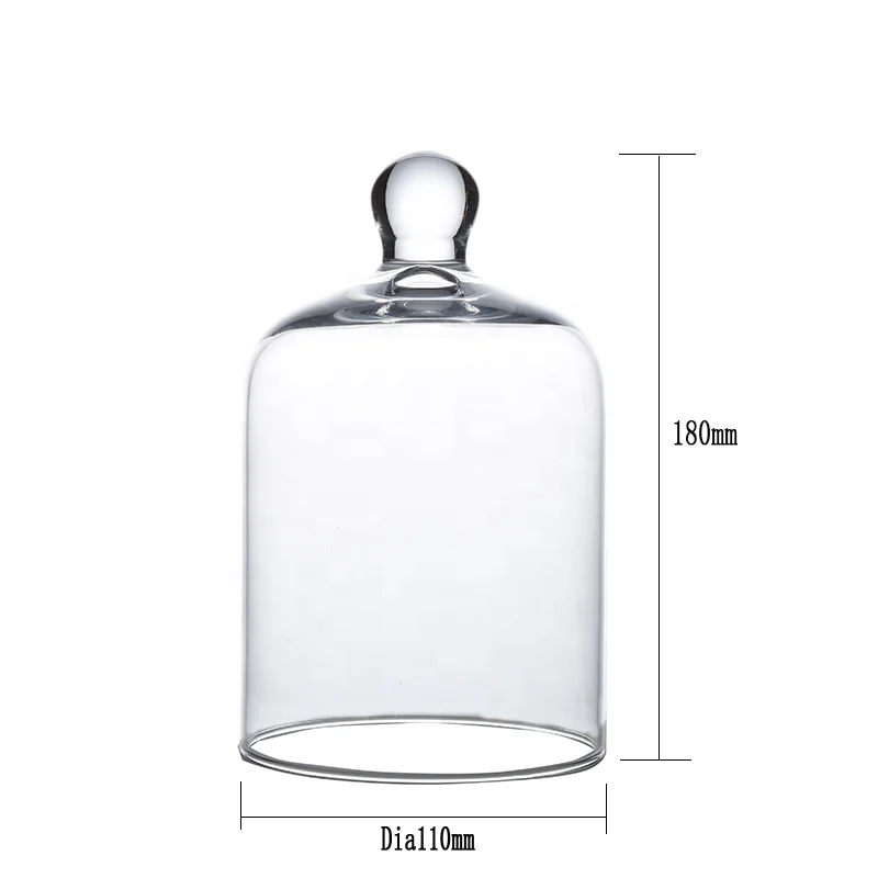 DIY Transparent Blown Glass Flower Cover Micro Landscape Tabletop Decorations for Garden House Jar