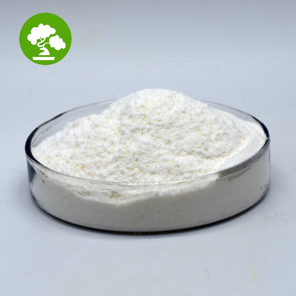 High Activity Probiotics Powder Lactobacillus Salivarius 10 Billion CFU/g