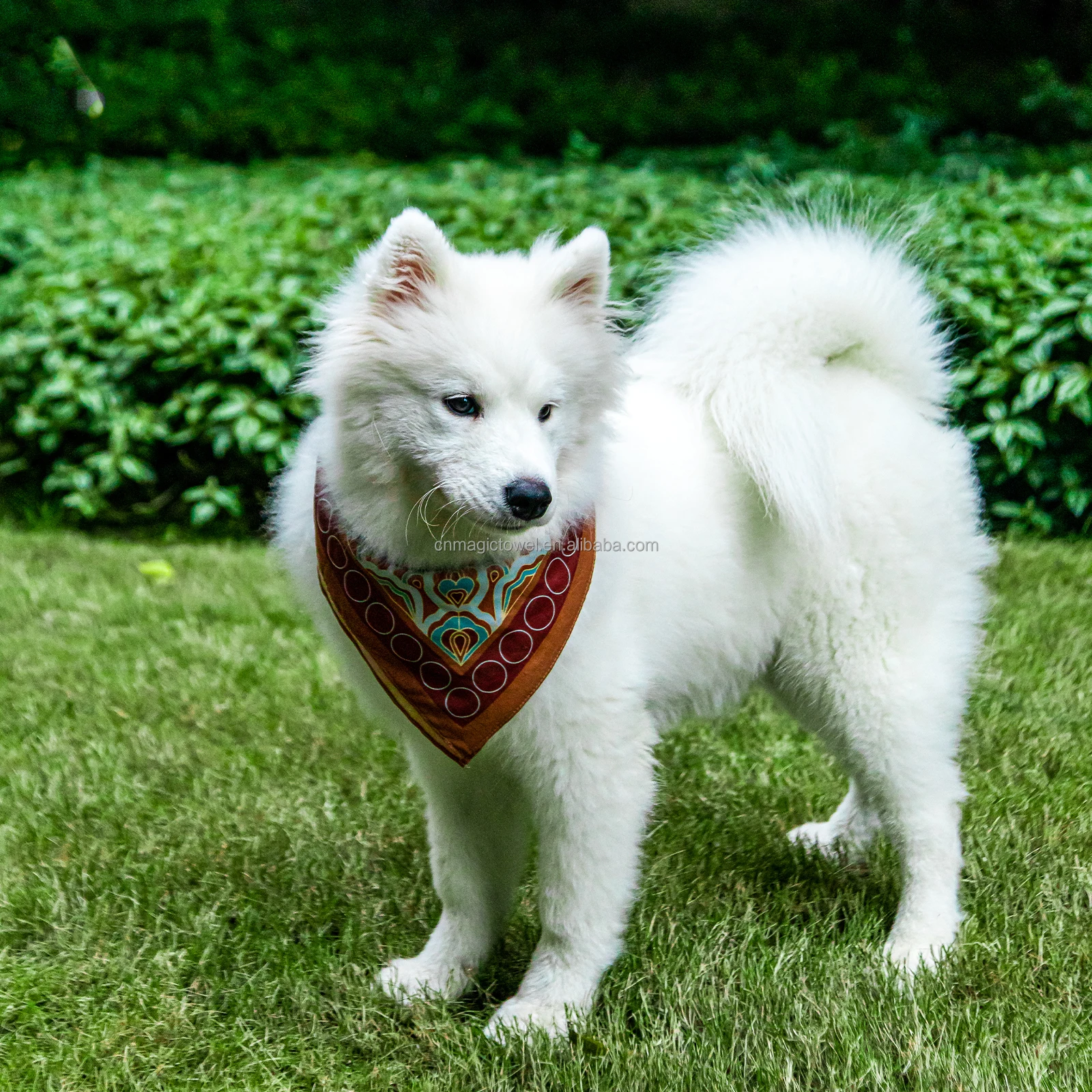 Christmas Classic headband hair red bandana scarf silk bandana tube bandanna person ethnic dog cotton custom bandana with logo
