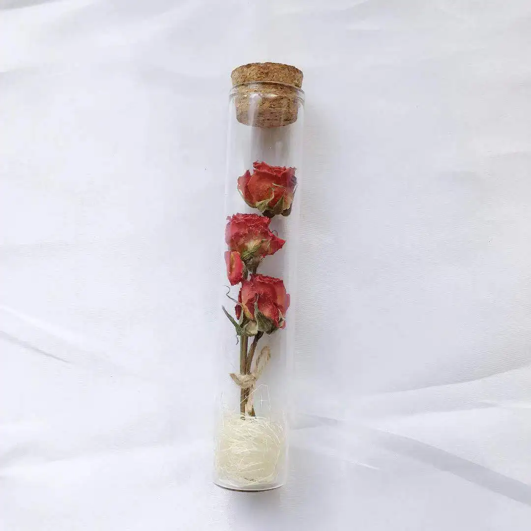 
Wholesale Decorative Flower Rose Jar Dried Rose for Home Decoration 