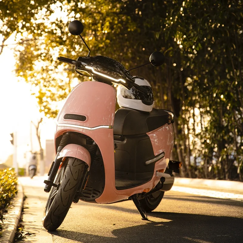 HORWIN EK1 for Sale 2000W 36AH  45km/h Electric Motorcycle for Adults with EEC Single Battery emotorcycle