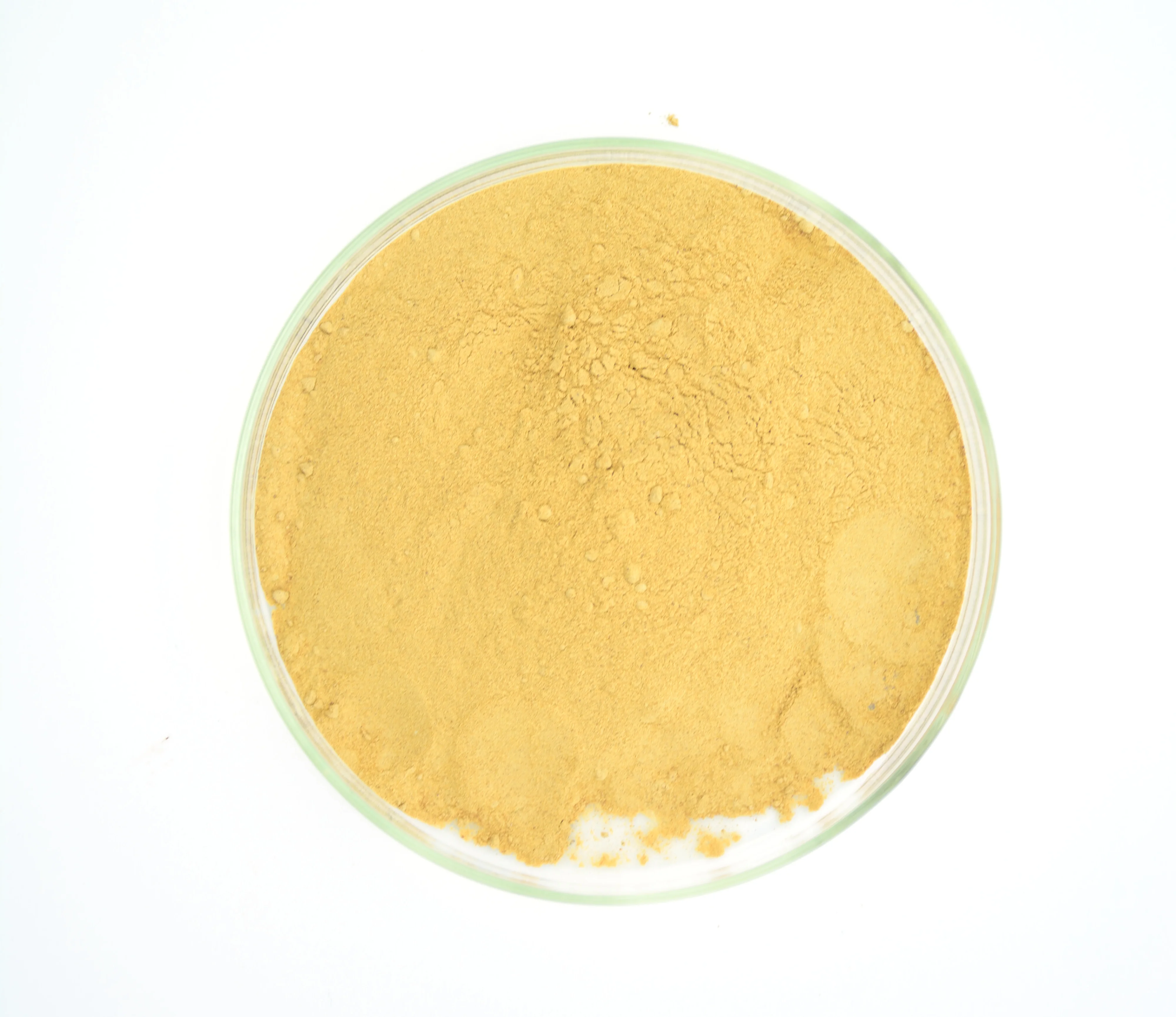 Factory Supplier Rosemary Extract Powder 25%Carnosic 25%Rosmarinic 50%Ursolic