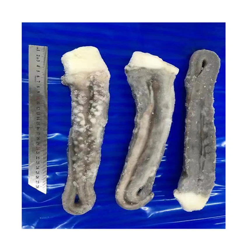 Good tasty freezing process frozen bqf giant squid tentacle,seafood processing for frozen squid tentacle