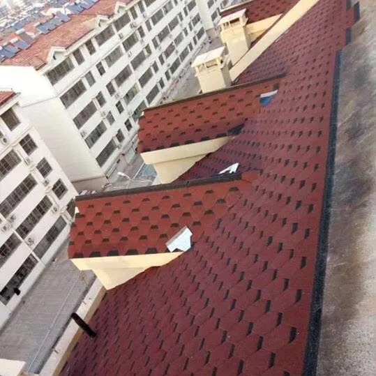 Light weight roof tile asphalt single layer wind resistance roofing shingles