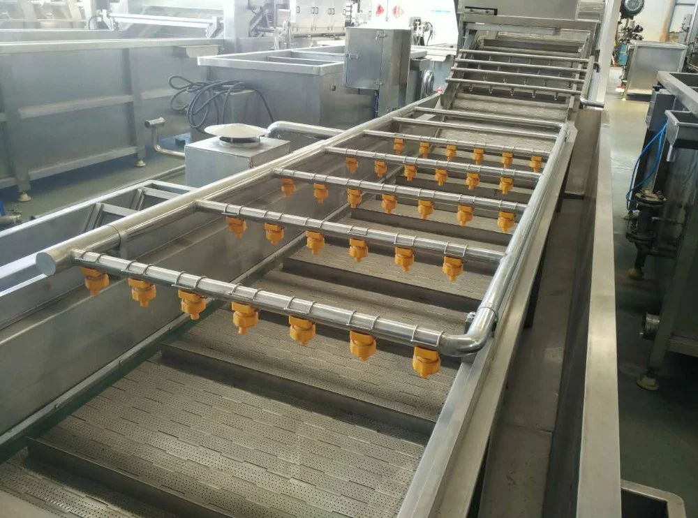 Commercial fruit washer equipment banana washing machine price