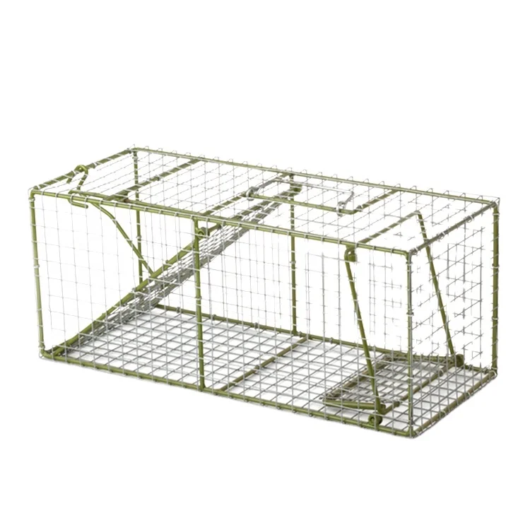 The squirrel buster The iron mouse trap