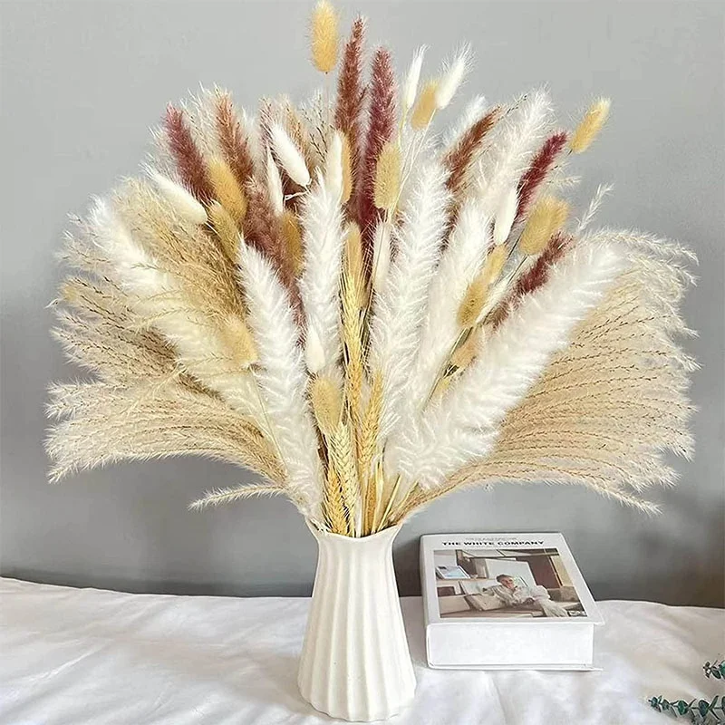 Factory Pampas White Color Wedding Flower Arrangements Home Decor Dried Natural Small Big Large Pampas Grass