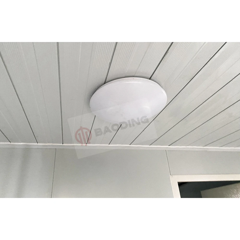 China Online Shopping Standard Luxury Mobile Home Modular Prefabricated House Prefabricated Buildings