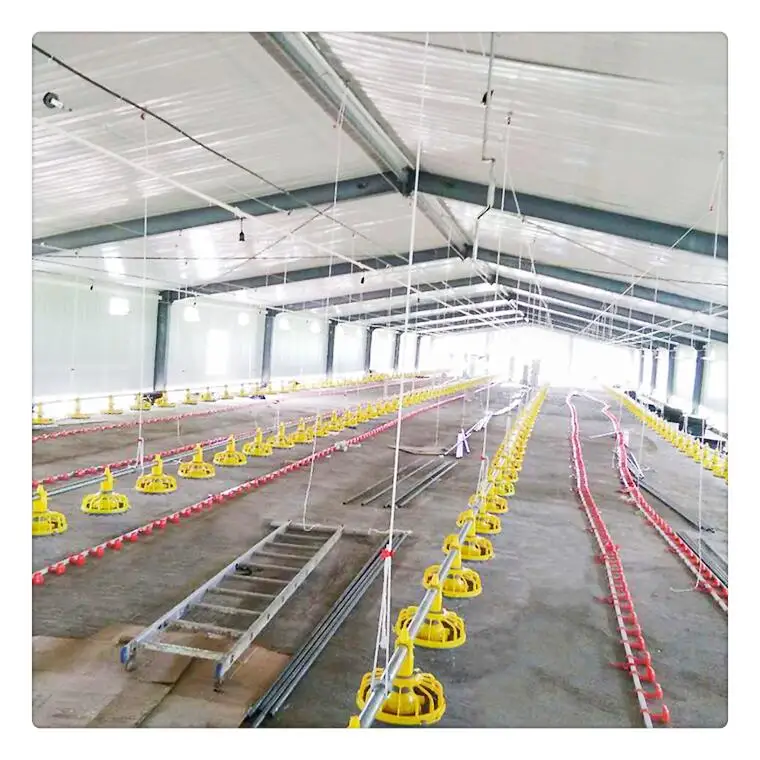 Low cost prefab steel structure chicken house build chicken coops / poultry farm house design