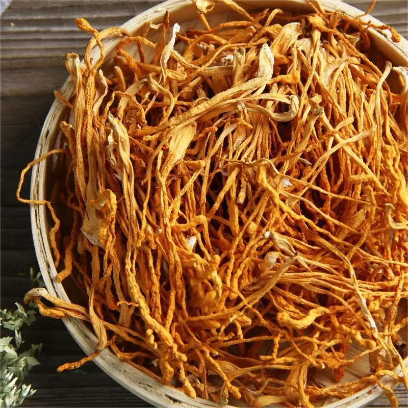 Best Price High-quality Organic Dried golden cordyceps mushroom Flower Dried Cordyceps wholesale price