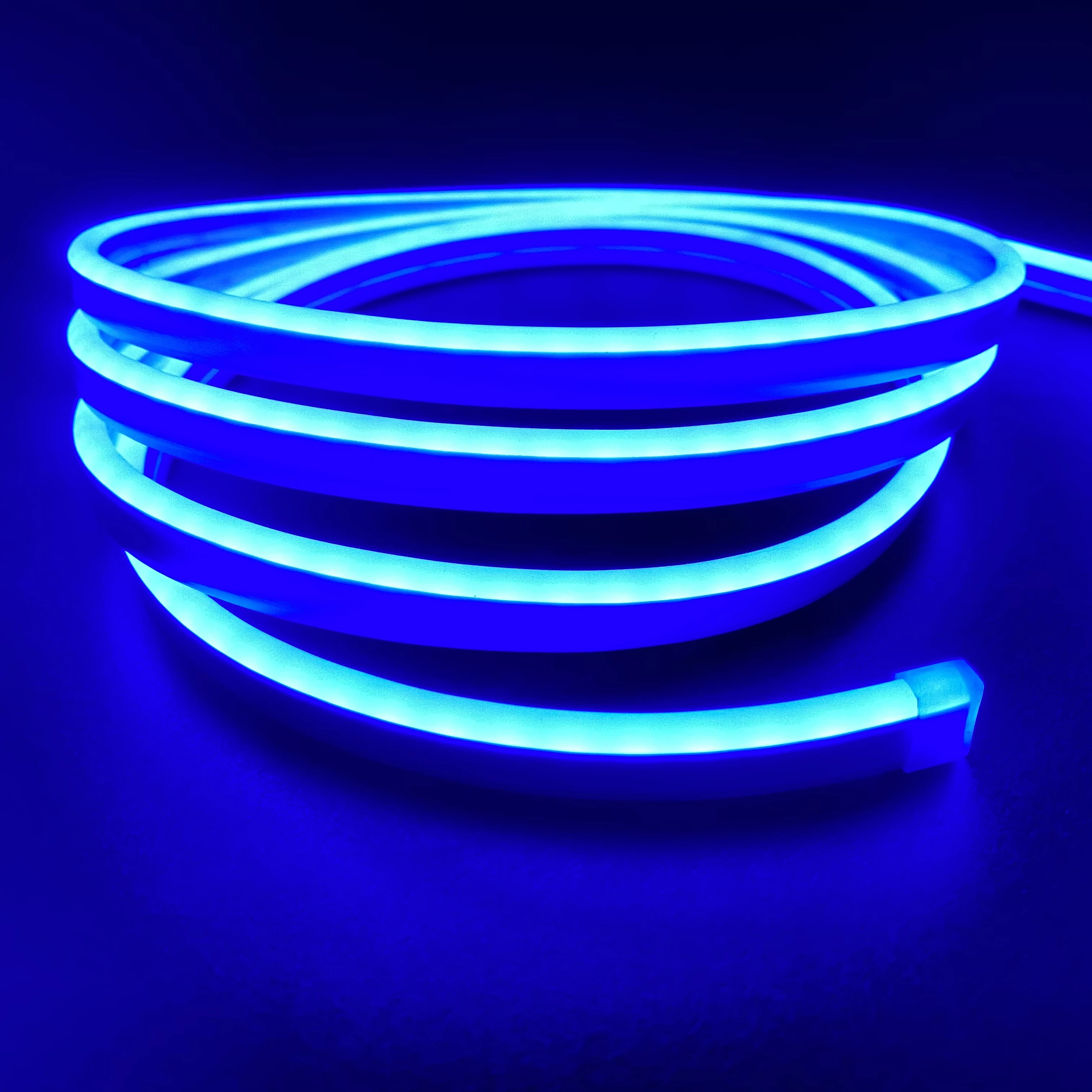 EUMIN New Flexible Led Neon Strip Light Blue 12V 5 Meter Lighting Strip Light