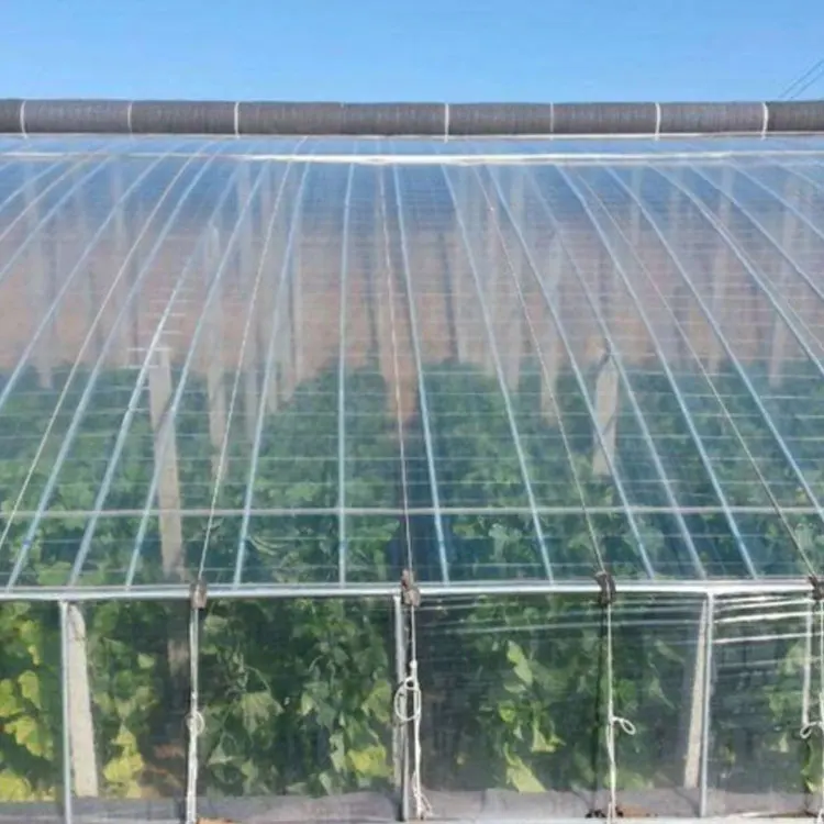 Недорогая Однопролетная пленка etfe для теплицы