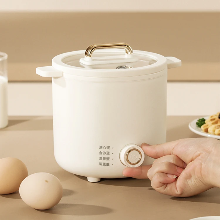 Electric Steamer Egg Cooker Automatic Mini Egg Cooker Plastic 6 Rapid Egg Boiler