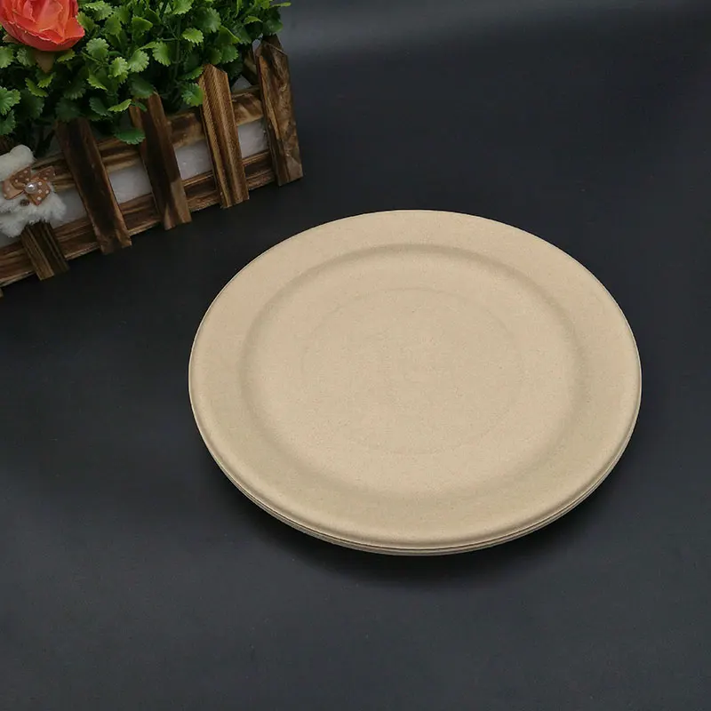 9 Inch Plates 25pcs Pack Eco-Friendly Dish 9inch Dinner Plates