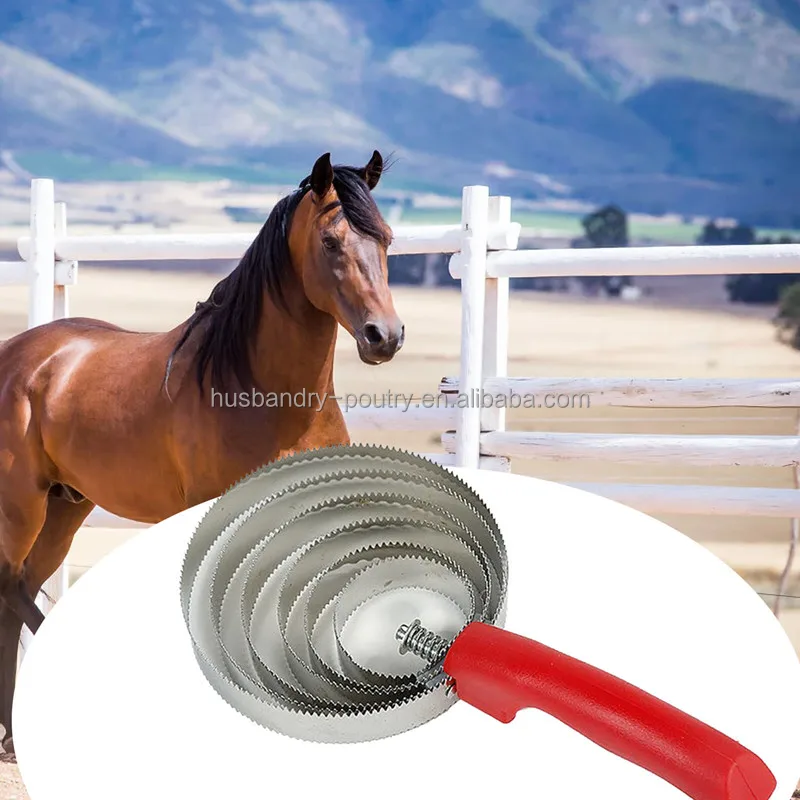 Horse curry comb Brush Horse mane Brush