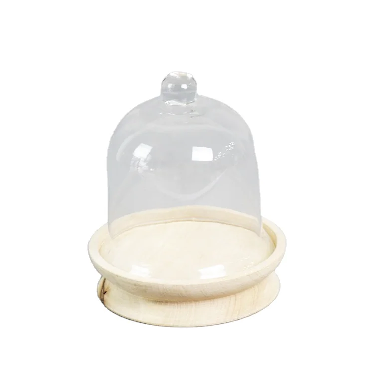 Indoor Garden Potted Artificial Tabletop Cloche with Glass Dome
