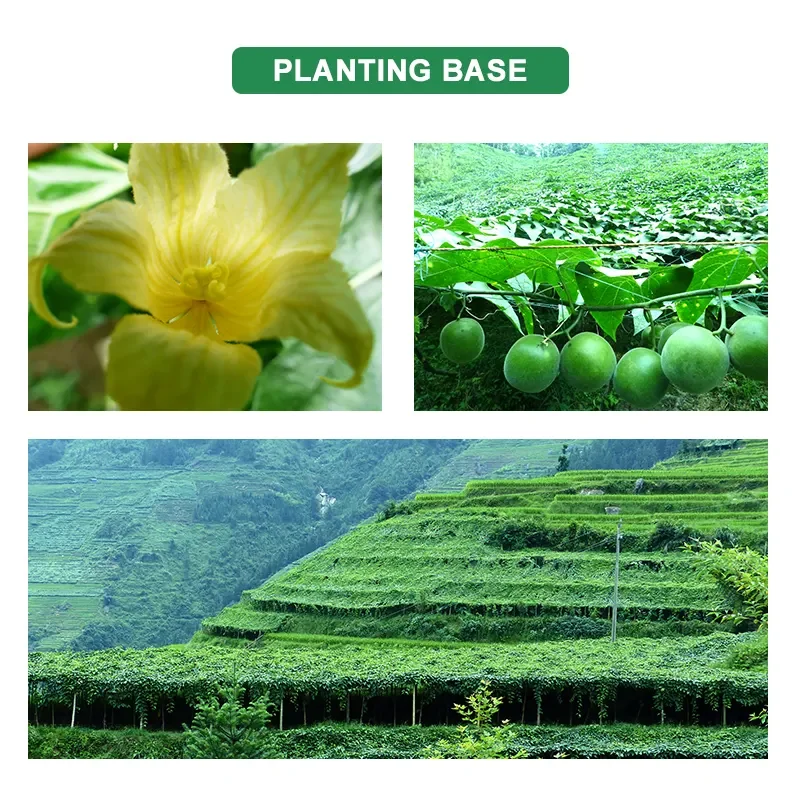 OEM Private label erythritol Monk fruit extract 50%V Blend Natural sweetener Monk fruit sugar supplier