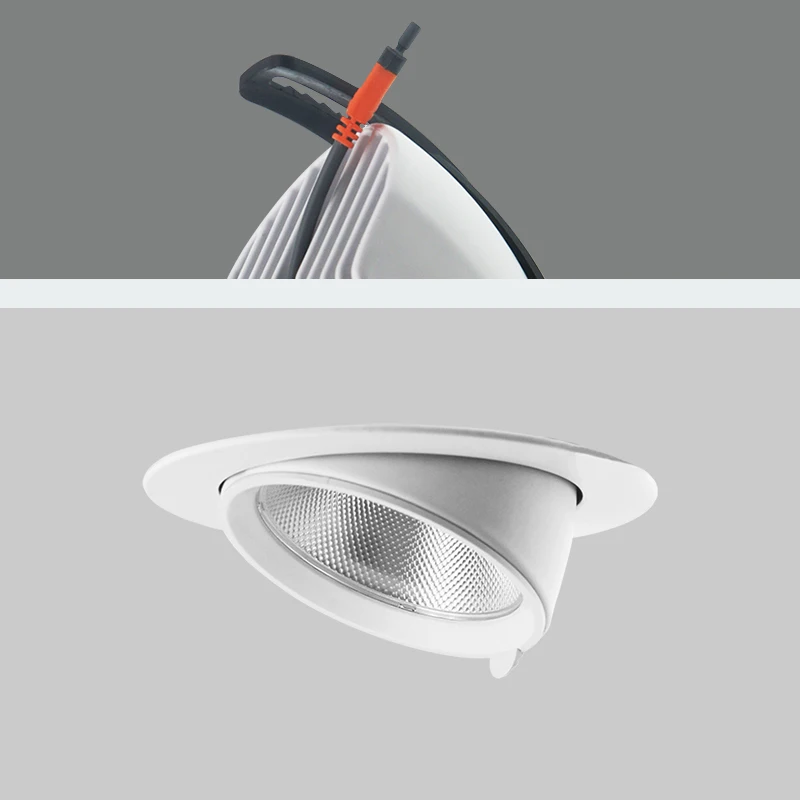 10W Embedded Retractable LED COB Ceiling Light 10W 20W 30W 40W AC100-260V Adjustable 360 Degree LED Downlight Home Lighting