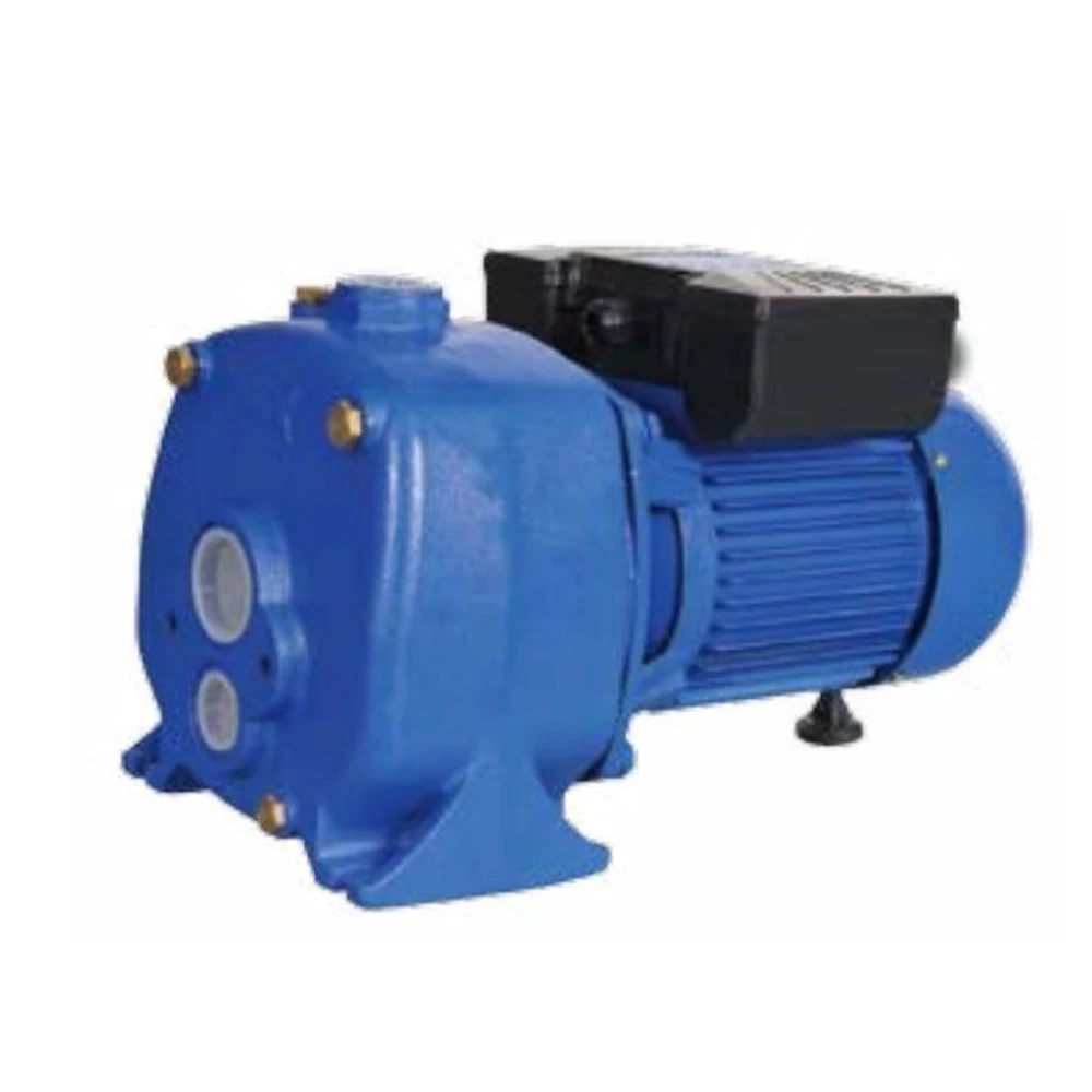 0.75HP Surface Self Priming Water Pump Jet Pump with Cast Iron Pump Body and Brass Impeller