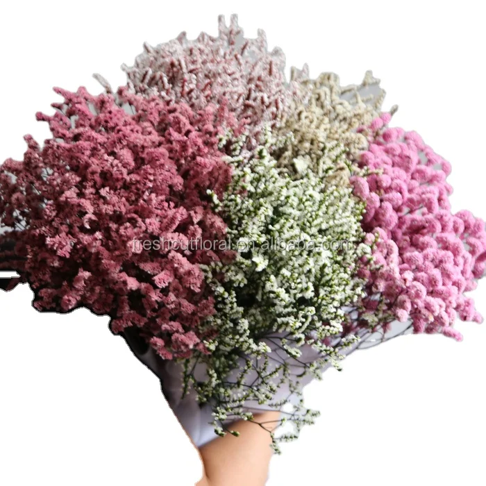 Factory supply preserved flower Preserved Sea Lavender flower Limonium dry crystal grass from Kunming Rainbow