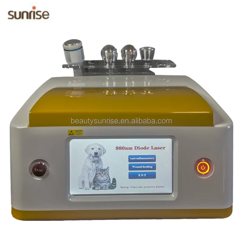 cost effective portable animation beam laser scanner projector for physical therapy animal laser therapy