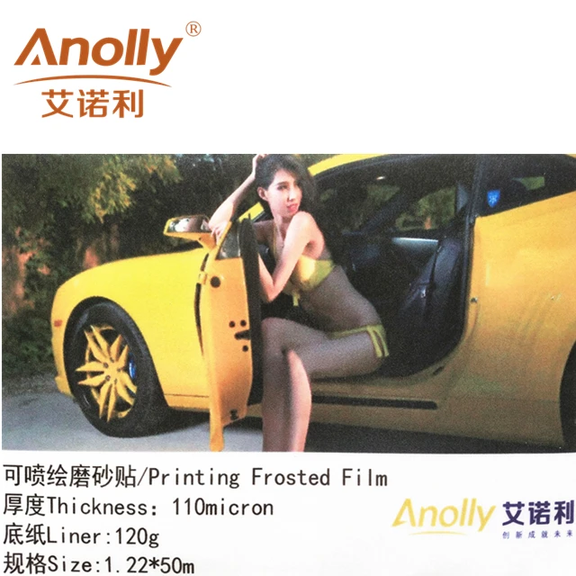 Anolly  New Style Home Decorative Glass Printing Frosted Film