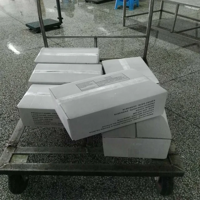 Africa food frozen fresh tilapia 10kg/ctn wholesale price  acultura tilapia