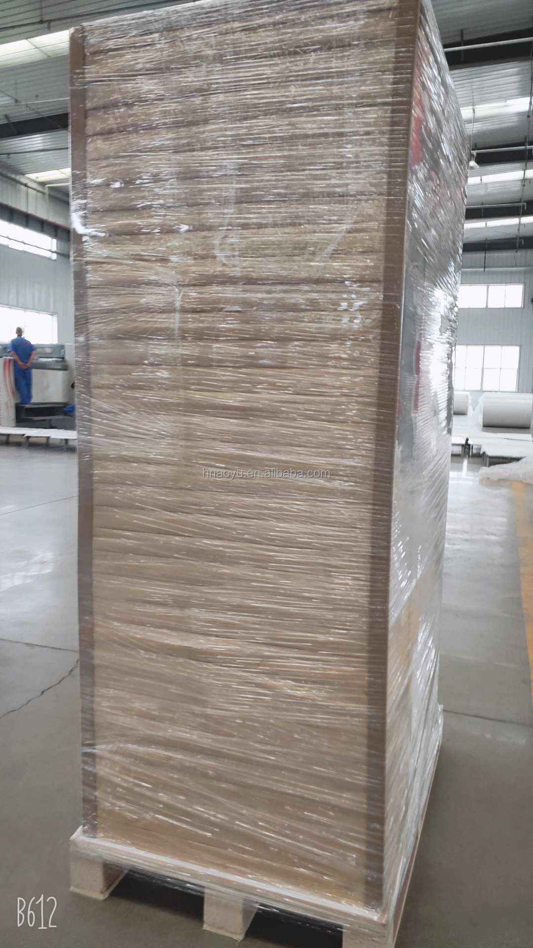 exporting ready packing 2