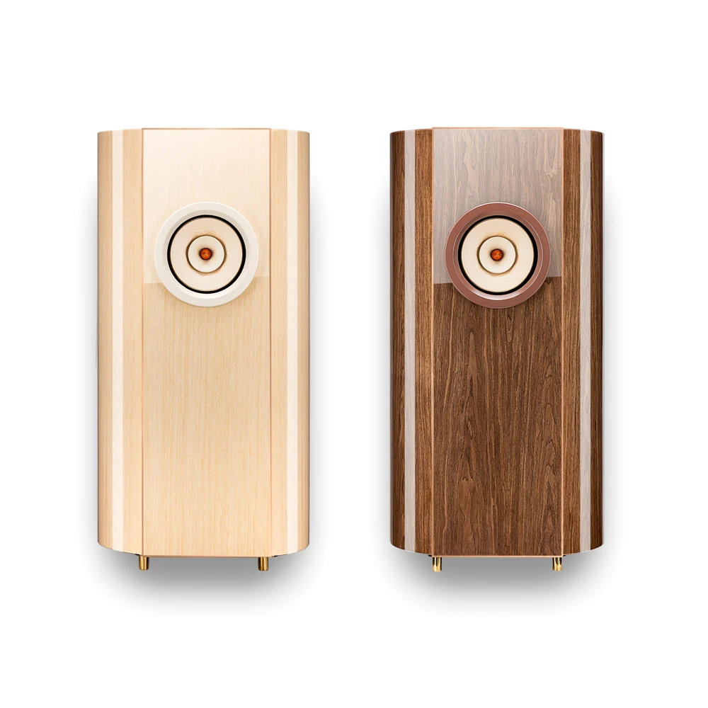 LS-14  Silver-10 Qiyuan full-range Loudspeakers 10 inch advanced HIFI home/ 1 pair