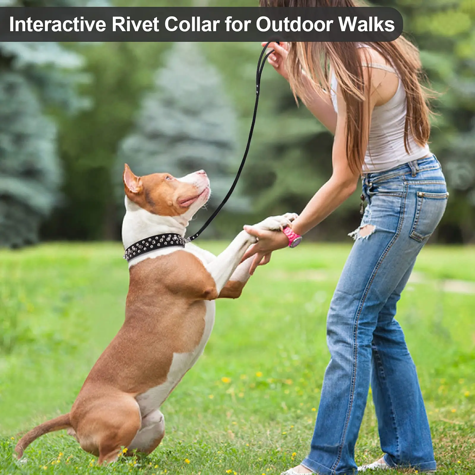 Spiked Dog Collar Soft Pu Leather Funny Mushrooms Rivet Spike Studded Puppy Adjustable Outdoor Dog Collars