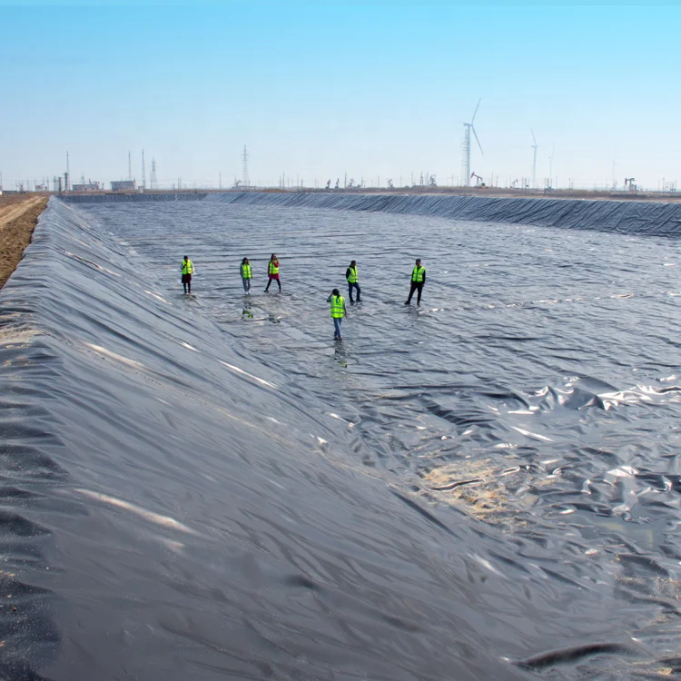Hdpe Geomembrane for Mining Plastic Sheet Membrane for Mining Industry