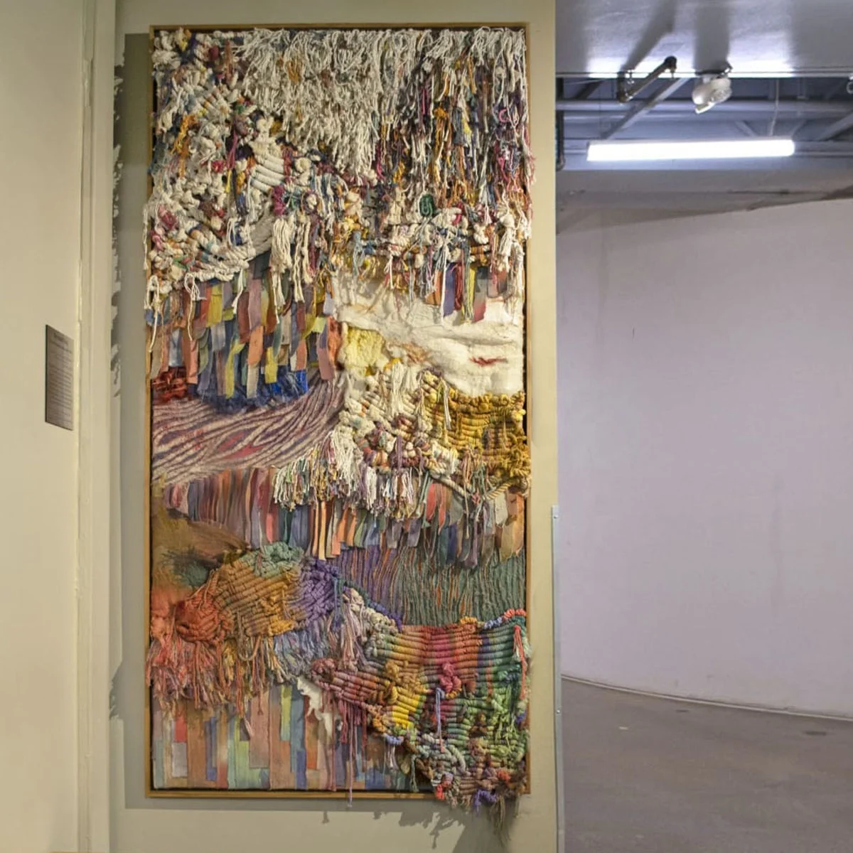 custom Eco Friendly woven blanket Abstract Textile fiber art large macrame wall hanging Unique coral reef weaving