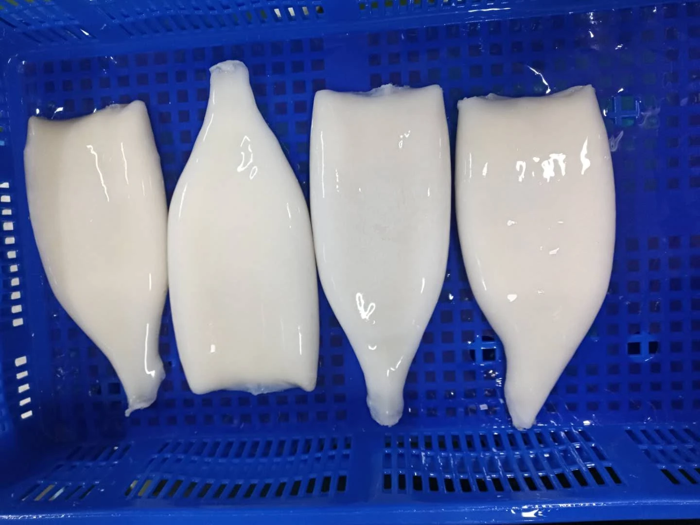 2021 Hot Sale Sea Frozen Squid Tube Giant Squid All Size